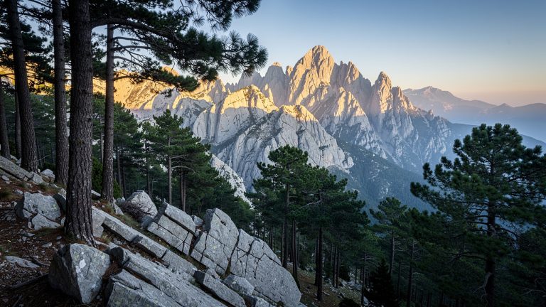 Vue matinale des Aiguilles de Bavella en Corse-du-Sud, avec des pins laricios au premier plan et une lumière dorée illuminant les aiguilles de granite.